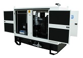 LPG or Natural Gas Generating Sets power range from 10  to 40 kVA - DLV40-S